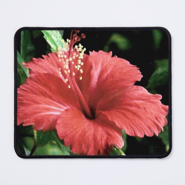 Artikelvorschau, Blumen Thailands 02b entworfen und verkauft von Lorelle Gifts.