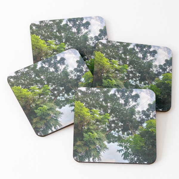 Item preview, Original fhoto tree collection designed and sold by Ap156ril.