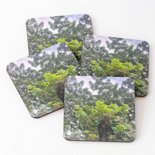 Item preview, Original fhoto tree collection @01 designed and sold by Ap156ril.