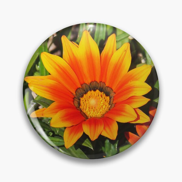 Artikelvorschau, Ewige Blumen entworfen und verkauft von heatherfriedman.