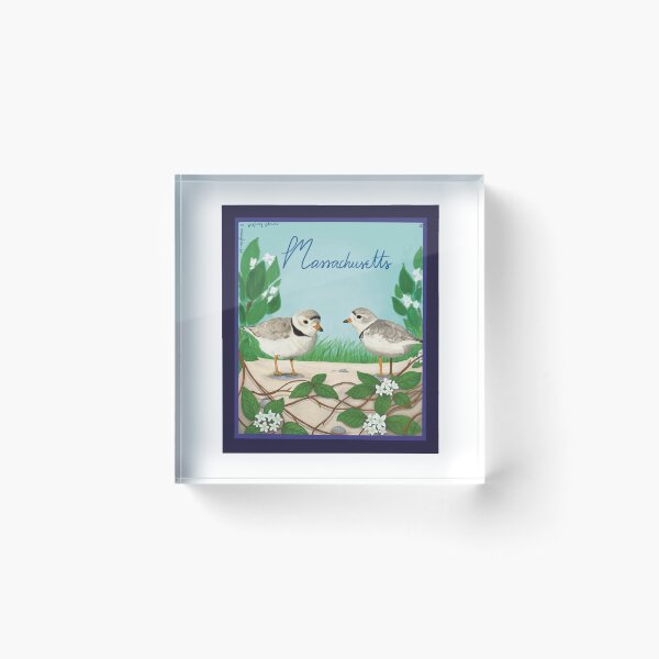 Item preview, Piping Plover x Mayflower designed and sold by jaeart28.