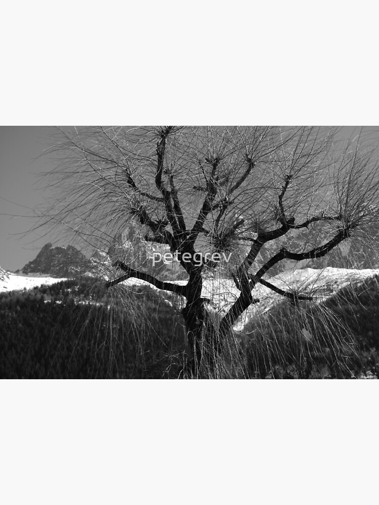 Chamonix Tree by petegrev