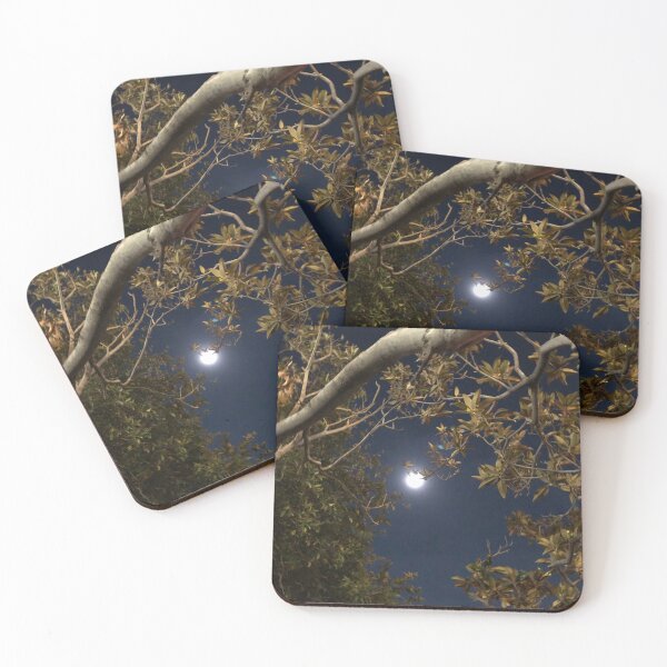Item preview, Moon among trees designed and sold by RDLT.