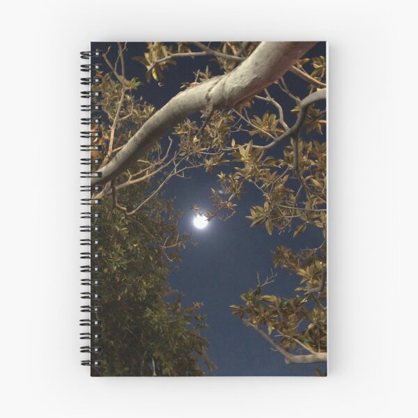 Item preview, Moon among trees designed and sold by RDLT.