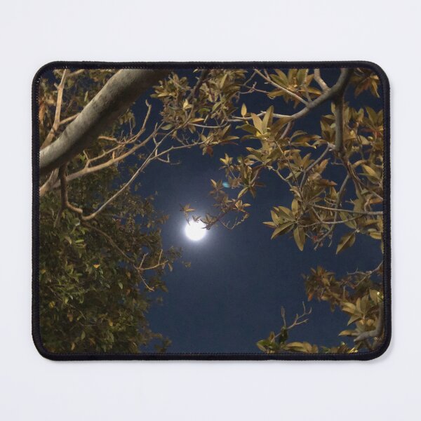 Item preview, Moon among trees designed and sold by RDLT.