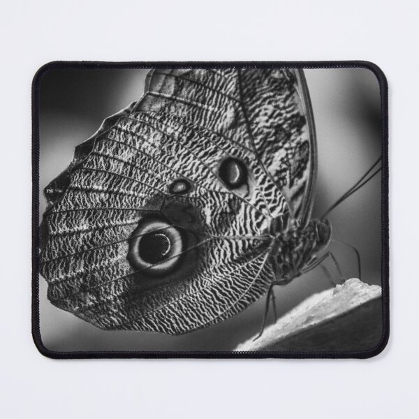 Item preview, lunch for the butterfly - grey designed and sold by Perggals© - Stacey Turner.