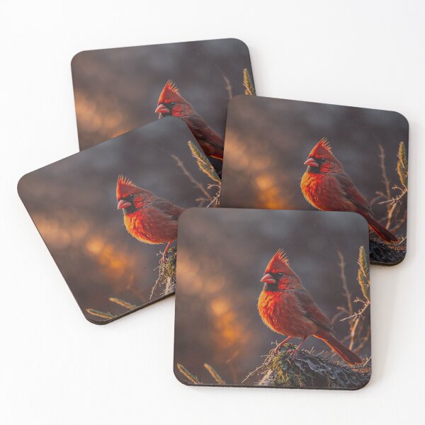 Item preview, Cardinal Bird Art designed and sold by BeautifulVirtues.