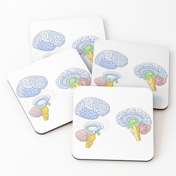 Item preview, Human Brain Hemisphere Anatomy Illustration designed and sold by taylorcustom.