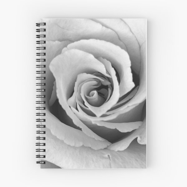 Item preview, Black & White Rose | Minimalist Floral Photography Art  designed and sold by PeridotGypsy.