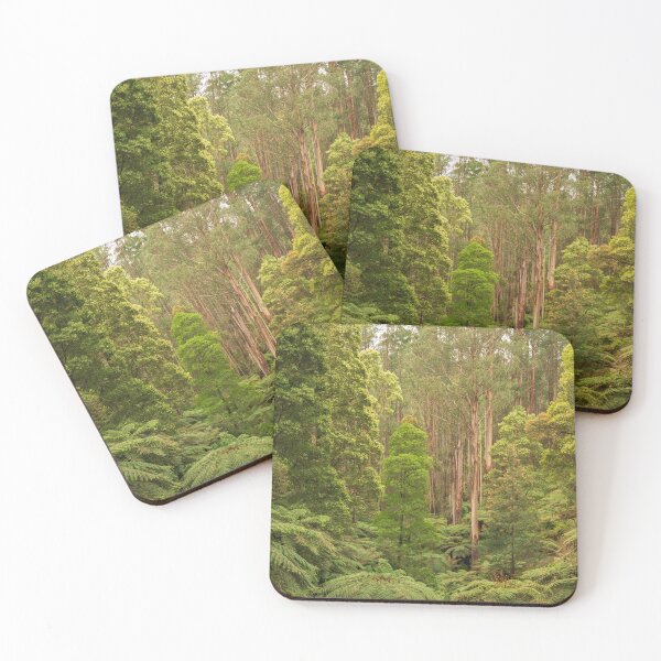Item preview, Silent Grove of Straight Giants designed and sold by Penny Chadwick Photography.