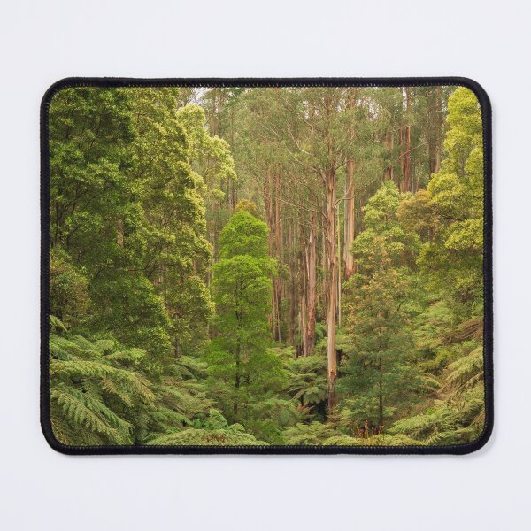 Item preview, Silent Grove of Straight Giants designed and sold by Penny Chadwick Photography.