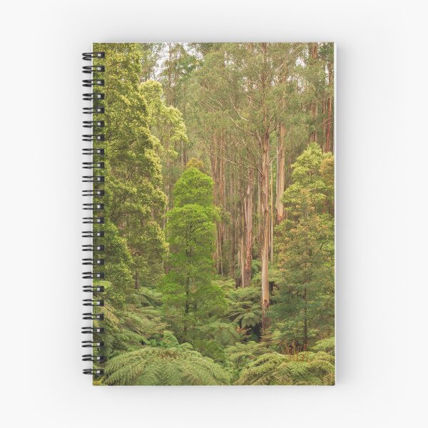 Item preview, Silent Grove of Straight Giants designed and sold by Penny Chadwick Photography.