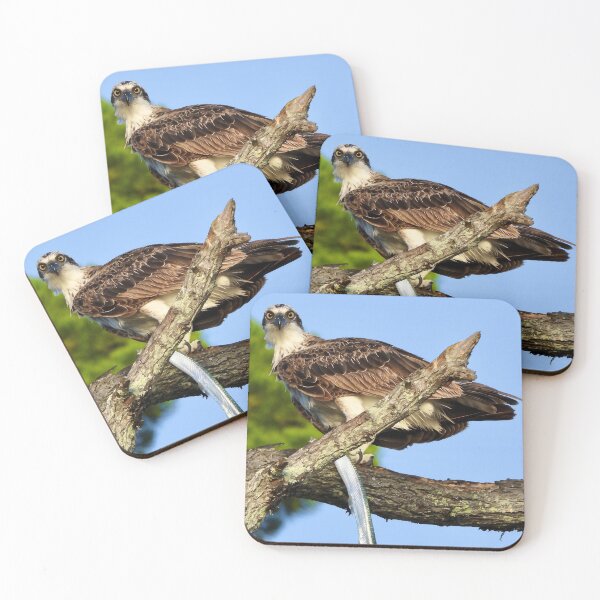 Item preview, Osprey with long tom designed and sold by Mark Grimsley.