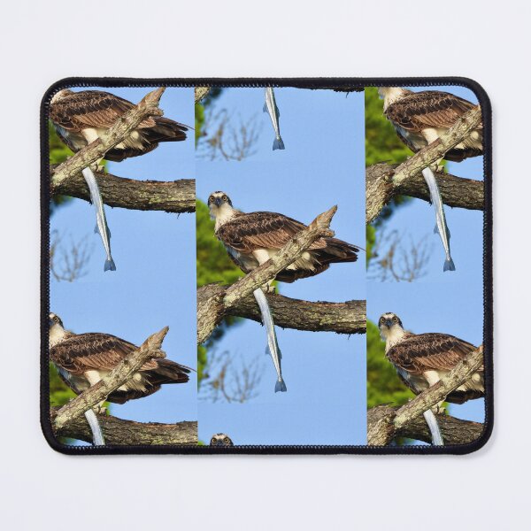 Item preview, Osprey with long tom designed and sold by Mark Grimsley.