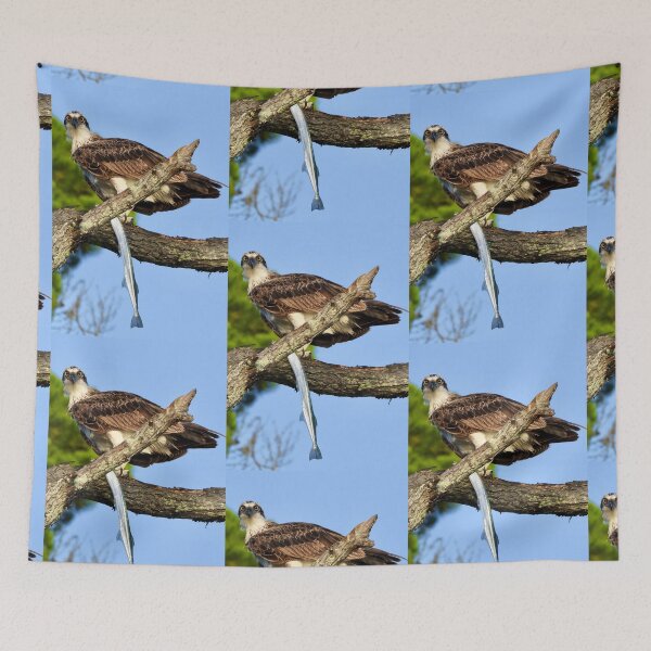 Item preview, Osprey with long tom designed and sold by Mark Grimsley.