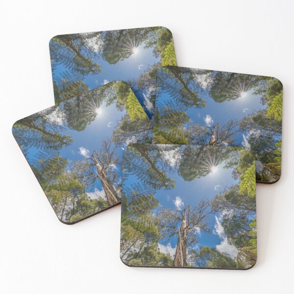 Item preview, Skyward Forest Canopy Light designed and sold by Penny Chadwick Photography.