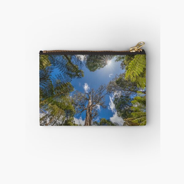 Item preview, Skyward Forest Canopy Light designed and sold by Penny Chadwick Photography.