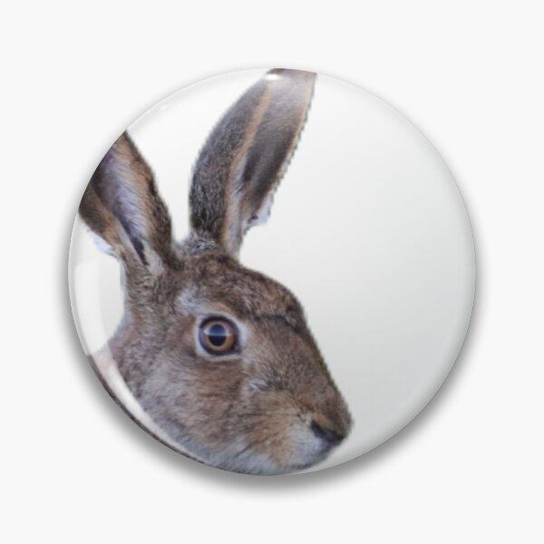 Item preview, Hare Party - Curious Hare designed and sold by StomperMcEwan.