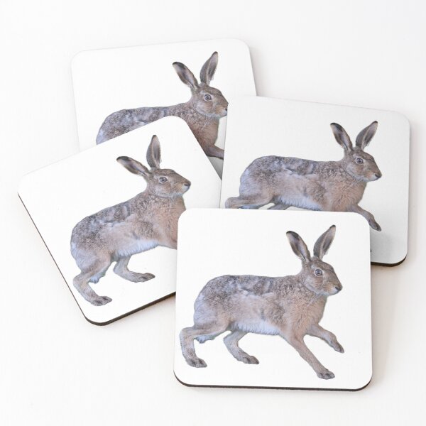 Item preview, Hare Party - Curious Hare designed and sold by StomperMcEwan.