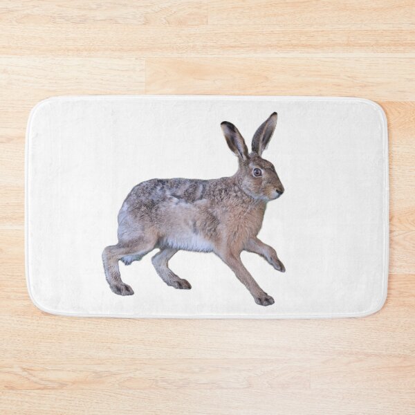 Item preview, Hare Party - Curious Hare designed and sold by StomperMcEwan.