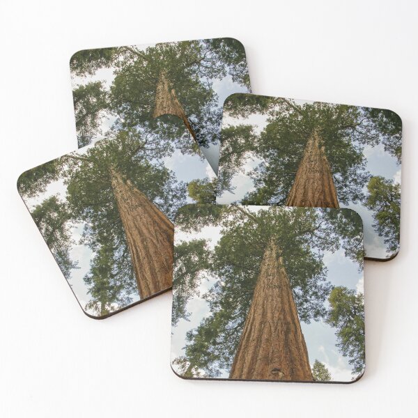 Item preview, Giant Sequoia Tree, McKinley Grove Botantical Area, Sierra National Forest, California, USA designed and sold by Ross.A.Campbell.