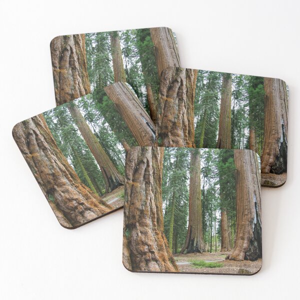 Item preview, Giant Sequoia Trees, McKinley Grove Botantical Area, Sierra National Forest, California, USA designed and sold by Ross.A.Campbell.