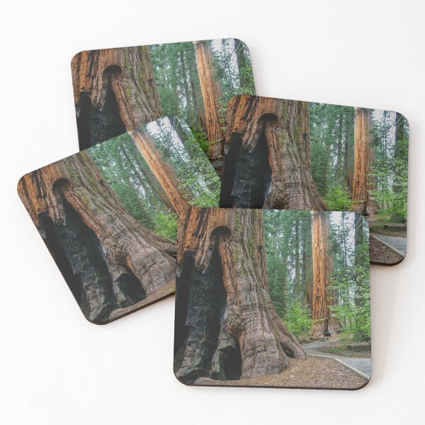 Item preview, Giant Sequoia Trees, McKinley Grove, Sierra National Forest, California, USA designed and sold by Ross.A.Campbell.