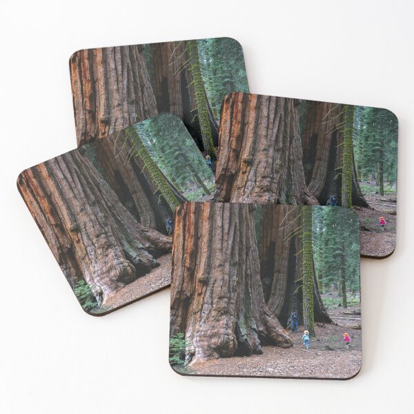 Item preview, Giant Sequoia Trees, McKinley Grove Botantical Area, Sierra National Forest, California, USA designed and sold by Ross.A.Campbell.