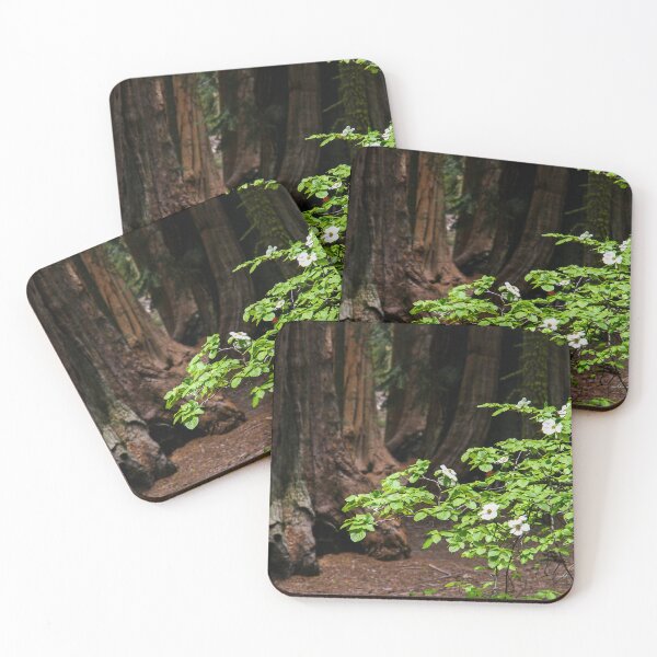 Item preview, Flowering Dogwood & Sequoia Trees, McKinley Grove, Sierra National Forest, California, USA designed and sold by Ross.A.Campbell.