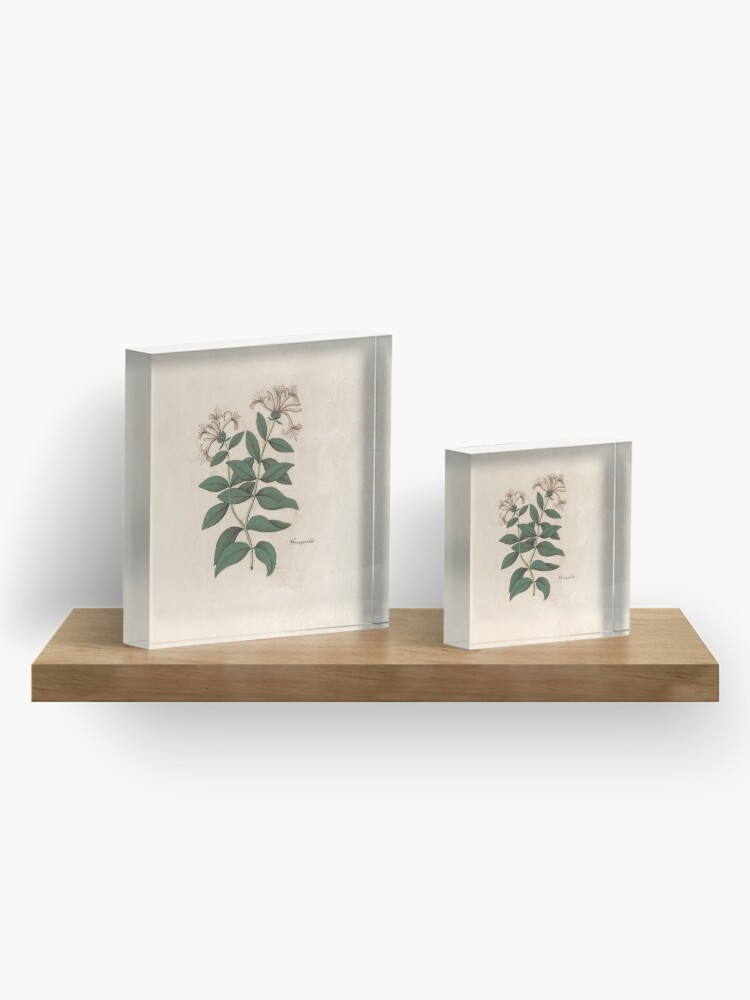 Alternate view of Fragrant Honeysuckle Acrylic Block
