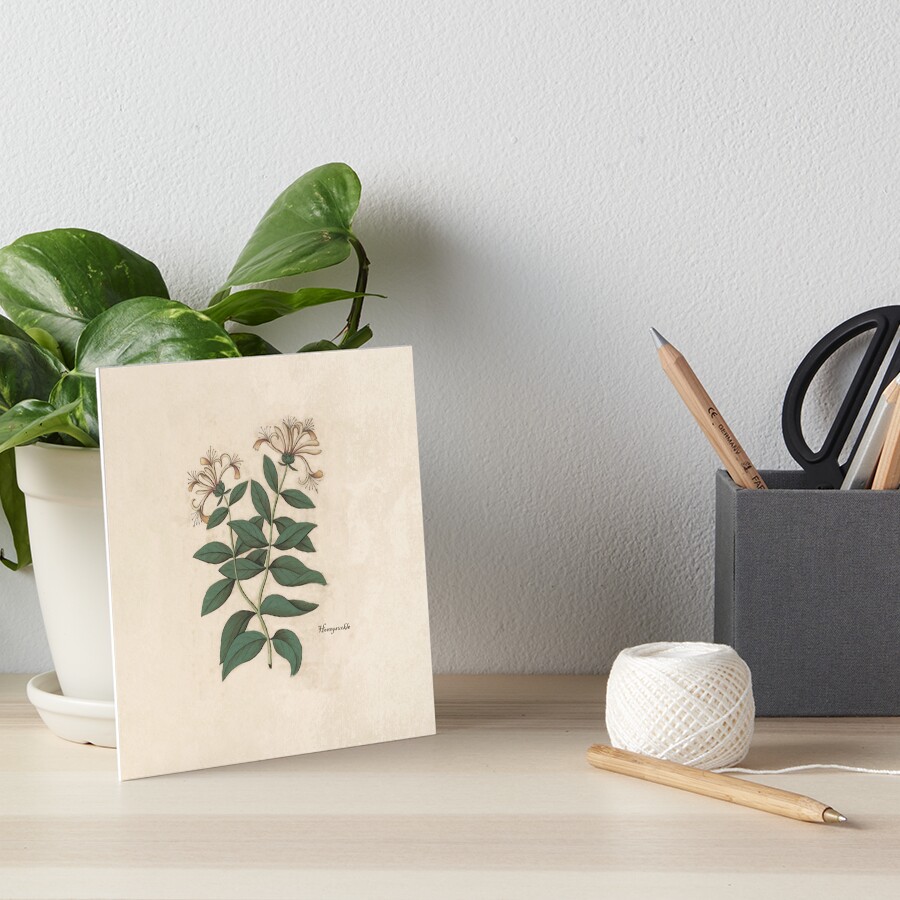 Item preview, Art Board Print designed and sold by anni103.