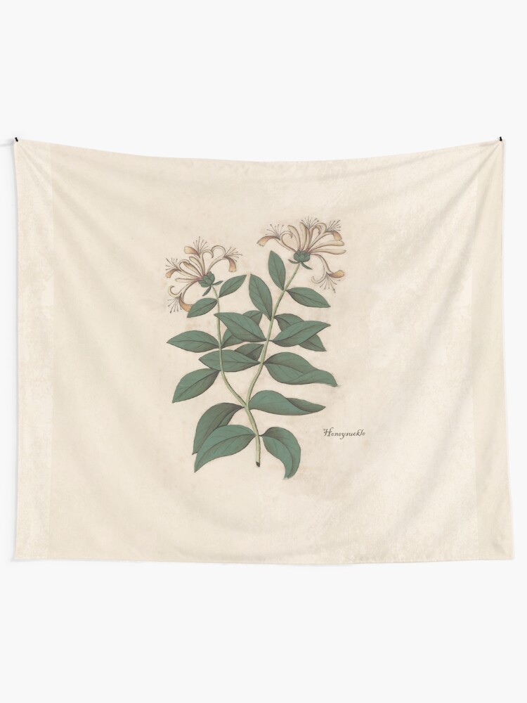 Alternate view of Fragrant Honeysuckle Tapestry