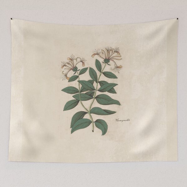 Item preview, Fragrant Honeysuckle designed and sold by anni103.