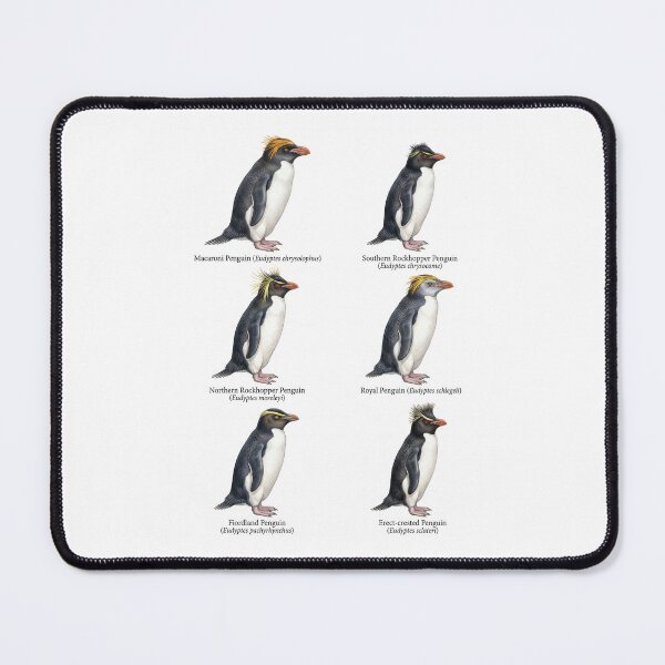 Item preview, Penguin species part 2 designed and sold by ArunDandiboina.