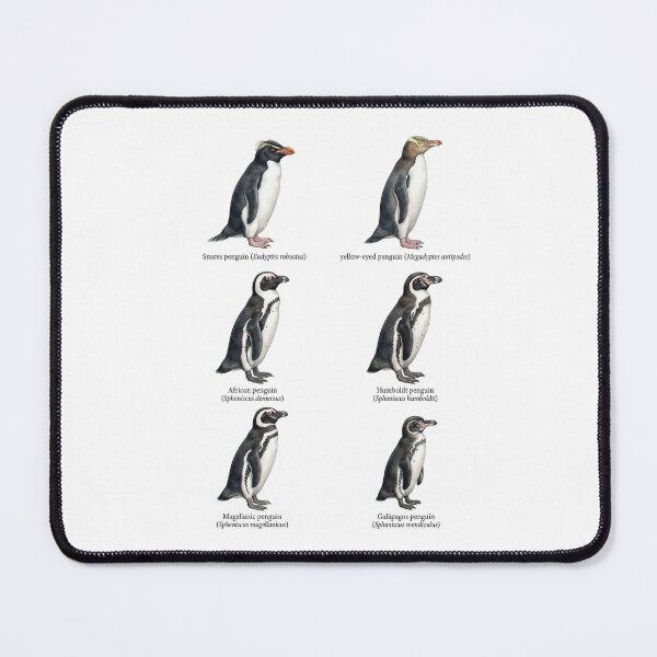 Item preview, Penguin species part 3 designed and sold by ArunDandiboina.