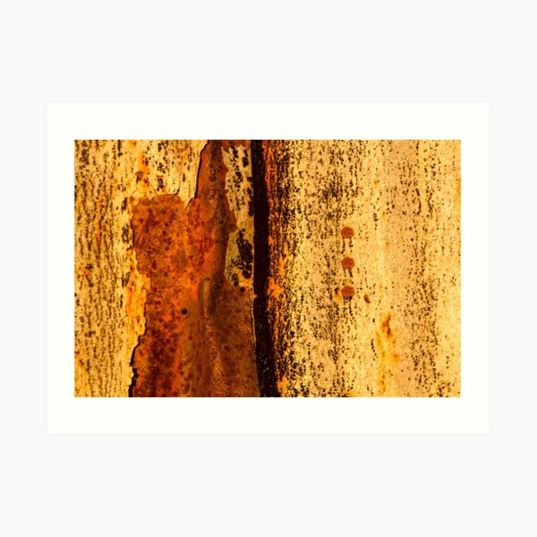Anthropologie Art Print