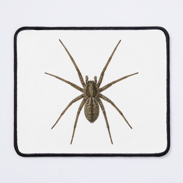 Item preview, House Spider Top View – Realistic Macro Arachnid Design designed and sold by byaga.