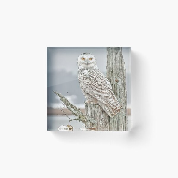 Item preview, Snowy on the lookout. designed and sold by Brian Tarr.