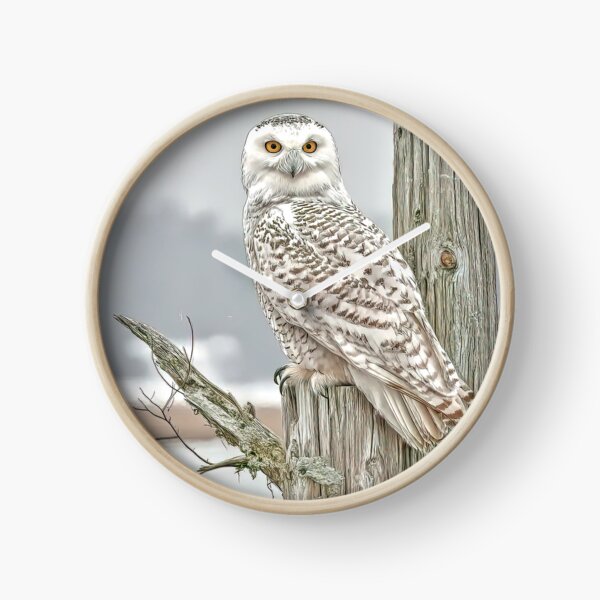 Item preview, Snowy on the lookout. designed and sold by Brian Tarr.