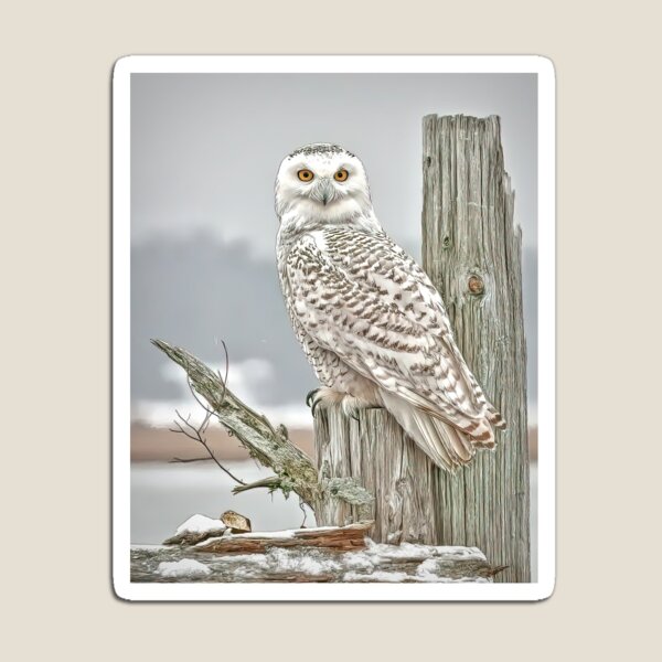 Item preview, Snowy on the lookout. designed and sold by Brian Tarr.