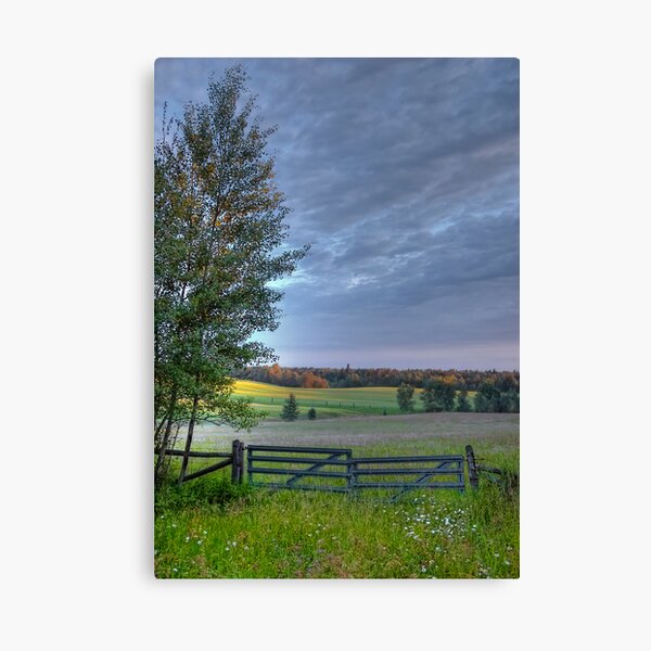 August Pasture Canvas Print