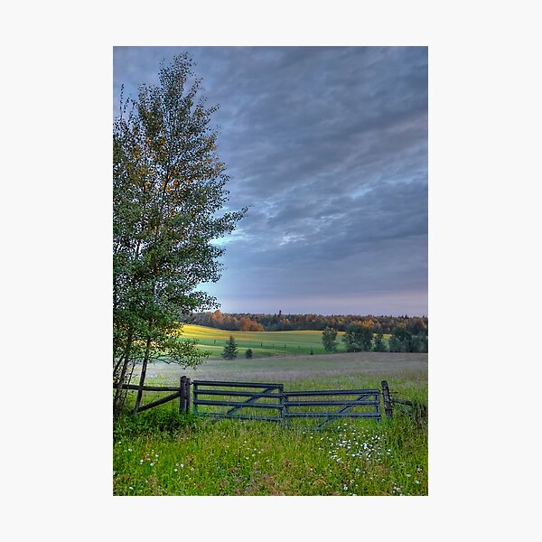 August Pasture Photographic Print