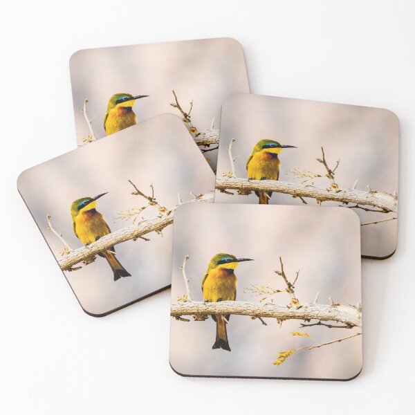 Item preview, Little Bee-eater on Thorny Branch - Bright African Bird Photography, Kruger National Park designed and sold by Johnathan Robinson Photography.