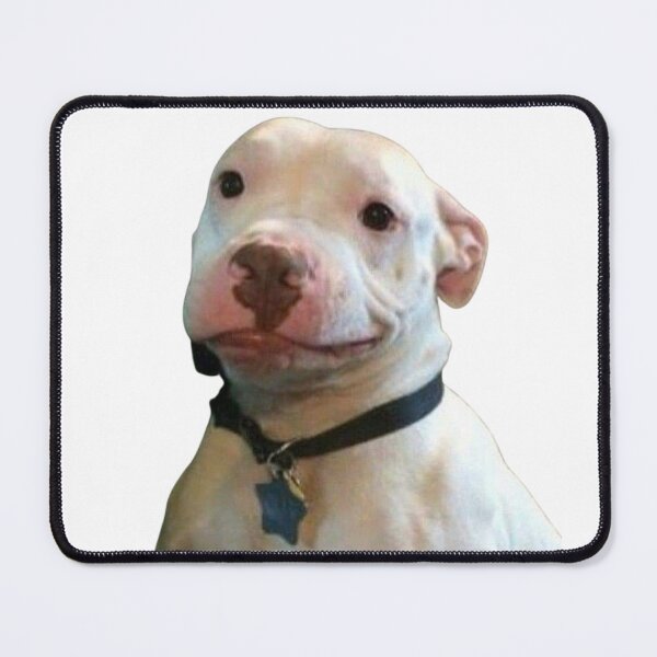 Item preview, Worried White Pitbull Puppy Meme designed and sold by NF Designs Studio DTF.