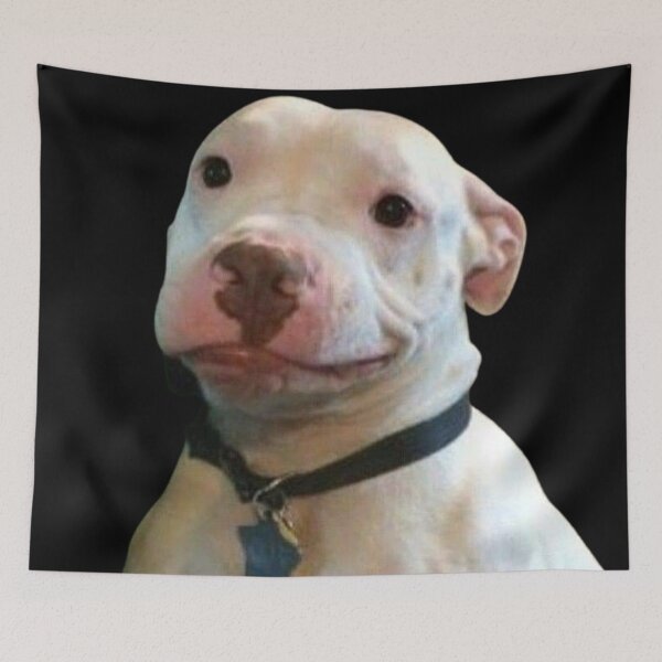 Item preview, Worried White Pitbull Puppy Meme designed and sold by NF Designs Studio DTF.