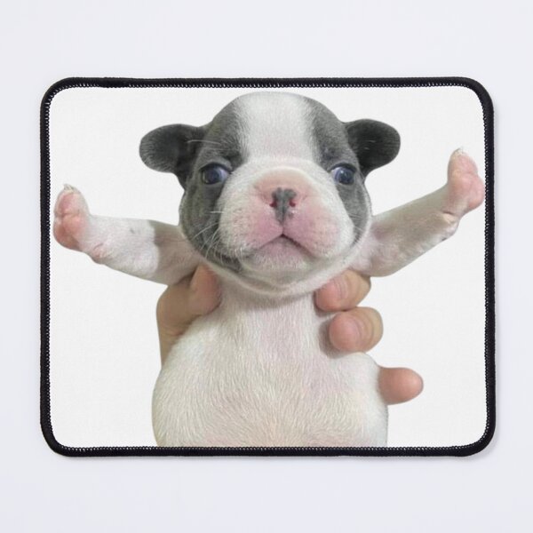 Item preview, Pibble French Bulldog Cow with giant belly designed and sold by NF Designs Studio DTF.