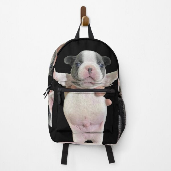 Item preview, Pibble French Bulldog Cow with giant belly designed and sold by NF Designs Studio DTF.