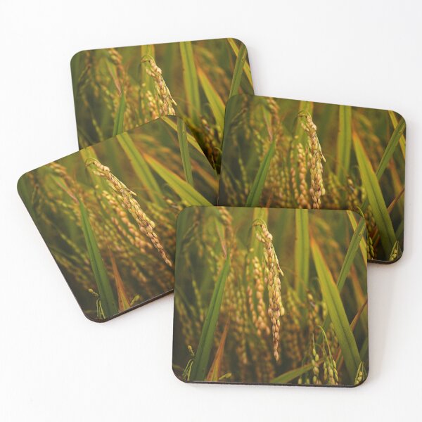Item preview, Natural beauty of paddy rice in close-up designed and sold by franck380.