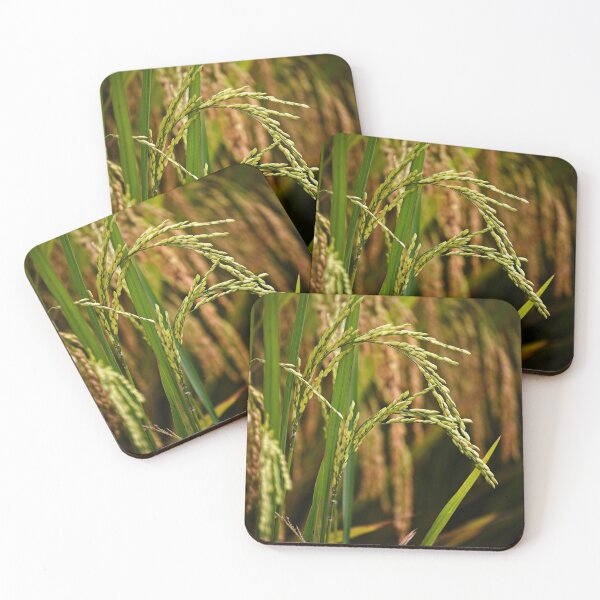 Item preview, Natural beauty of paddy rice in close-up designed and sold by franck380.