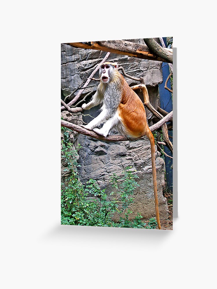Thumbnail 1 of 2, Greeting Card, Patas Monkey designed and sold by MaluC.